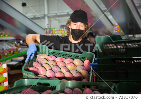 Man in mask working at fruit warehouse Man in mask working at fruit warehouse 72817070