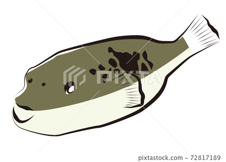 Fugu's illustration Fugu's illustration 72817189