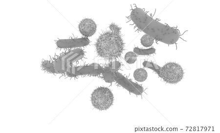 白木耳大腸桿菌細菌病原體感染圖像CG白色背景 白木耳大腸桿菌細菌病原體感染圖像CG白色背景 72817971