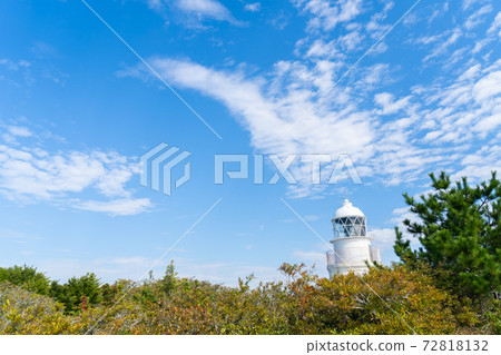 [Wakayama Prefecture] Tomogashima 72818132