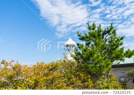 [和歌山縣]永島 72818135