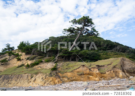 [Wakayama Prefecture] Tomogashima 72818302