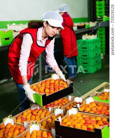Woman holding box of apricots at warehouse 72819128