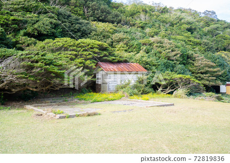 [Wakayama Prefecture] Tomogashima 72819836