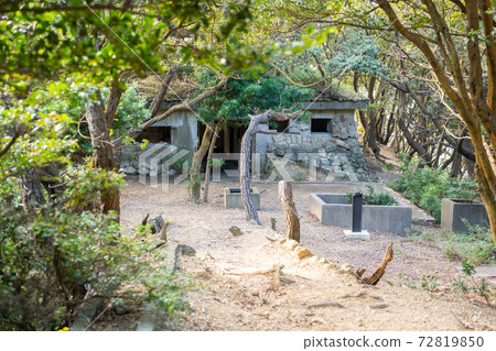 [Wakayama Prefecture] Tomogashima 72819850