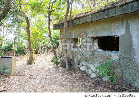 [Wakayama Prefecture] Tomogashima 72819958