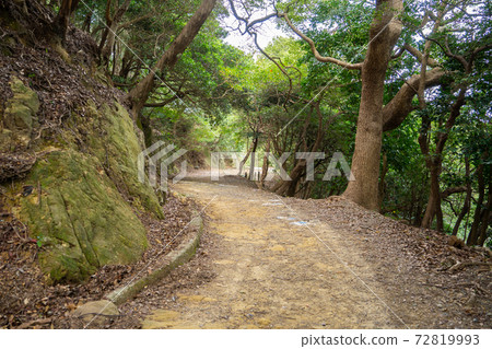 [Wakayama Prefecture] Tomogashima 72819993