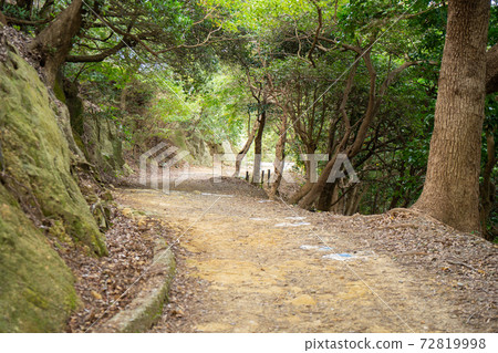 [和歌山縣]永島 72819998