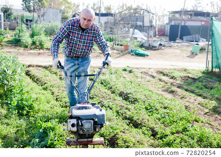 Gardener using motorized cultivator in his garden Gardener using motorized cultivator in his garden 72820254