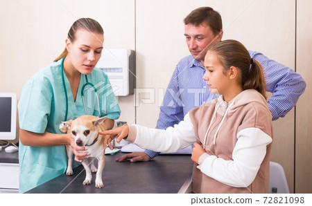 Experienced woman veterinarian listening to father and daughter concerned about health of their dog Experienced woman veterinarian listening to father and daughter concerned about health of their dog 72821098