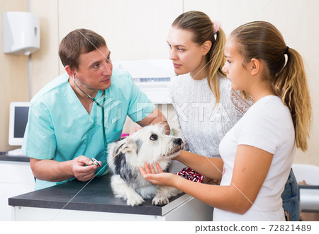 Worried family with dog at veterinarian clinic 72821489