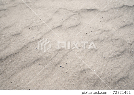 Sandy beach texture with small seashells on beach in sunny day Image for nature travel background Summer Design concept Sandy beach texture with small seashells on beach in sunny day Image for nature travel background Summer Design concept 72821491