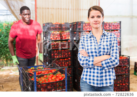 Portrait of farm owner with arms crossed against background of tomatoes Portrait of farm owner with arms crossed against background of tomatoes 72822636