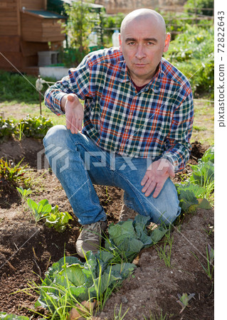 Dissatisfied farmer checking sprouts Dissatisfied farmer checking sprouts 72822643
