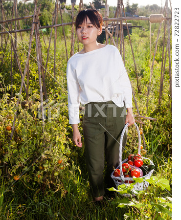 Girl holding basket of tomatoes and cucumbers 72822723