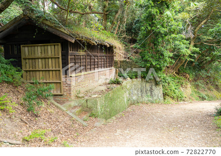 [Wakayama Prefecture] Tomogashima 72822770