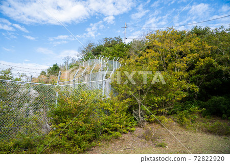 [Wakayama Prefecture] Tomogashima 72822920