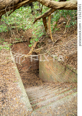 [Wakayama Prefecture] Tomogashima 72823001