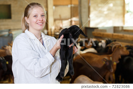 Positive farmer with goatlings on his hands Positive farmer with goatlings on his hands 72823086