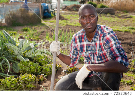 Portrait of man in garden Portrait of man in garden 72823643