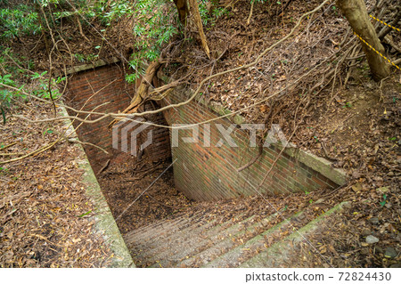 [Wakayama Prefecture] Tomogashima 72824430