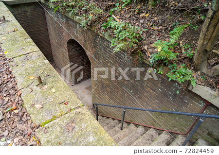 [Wakayama Prefecture] Tomogashima 72824459