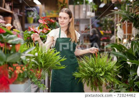 Portrait of woman florist with baskets of flowers in flower shop 72824462