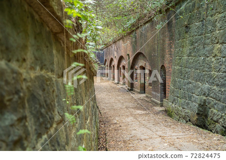 [Wakayama Prefecture] Tomogashima 72824475