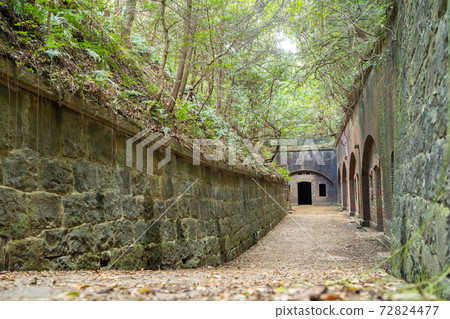 [Wakayama Prefecture] Tomogashima 72824477