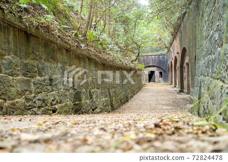 [Wakayama Prefecture] Tomogashima 72824478