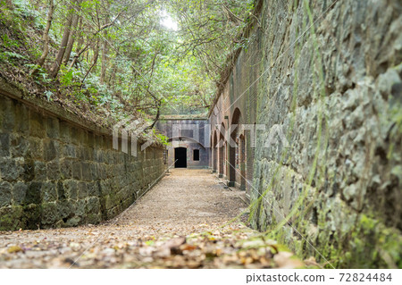 [Wakayama Prefecture] Tomogashima 72824484