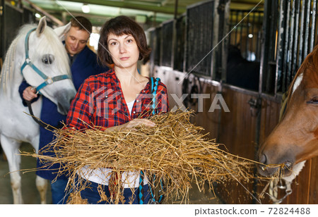Worker spreading armfuls of hay at stable Worker spreading armfuls of hay at stable 72824488