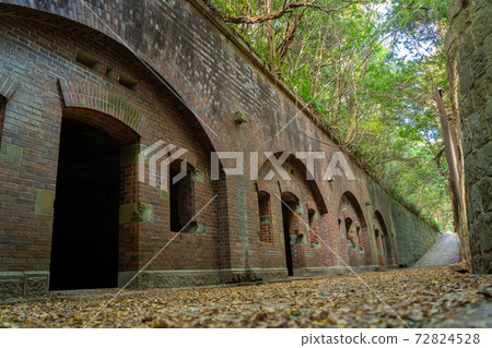 [Wakayama Prefecture] Tomogashima 72824528