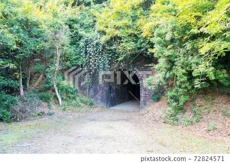 [和歌山縣]永島 72824571