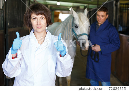 Female veterinarian at horse stable Female veterinarian at horse stable 72824835