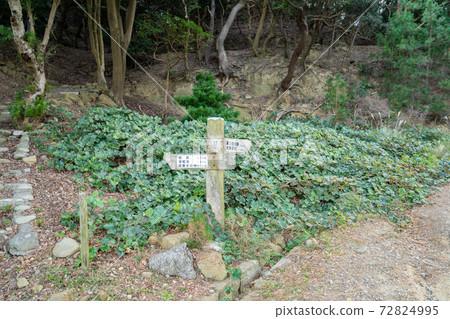 [Wakayama Prefecture] Tomogashima 72824995