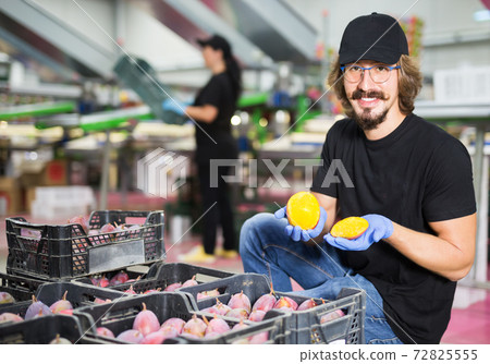Man demonstrating good quality of ripe mango 72825555