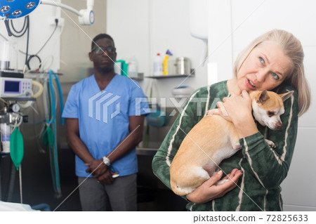 Woman with dog waiting for professional advice from veterinarian 72825633