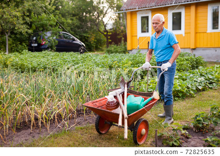 Senior man carrying garden tools in a wheelbarrow Senior man carrying garden tools in a wheelbarrow 72825635