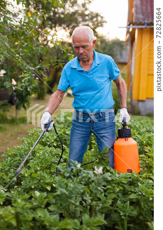 Farmer sprays harvest of vegetables with insecticides Farmer sprays harvest of vegetables with insecticides 72825664