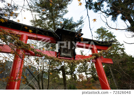 [Kyoto] Kuwayama Shrine 72826048