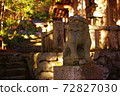 Shrine dog 72827030