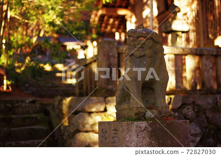 Shrine dog Shrine dog 72827030