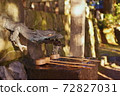 Shrine waters 72827031