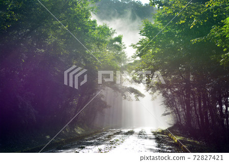 Object of worship and source of art-Mt. Fuji Object of worship and source of art-Mt. Fuji 72827421