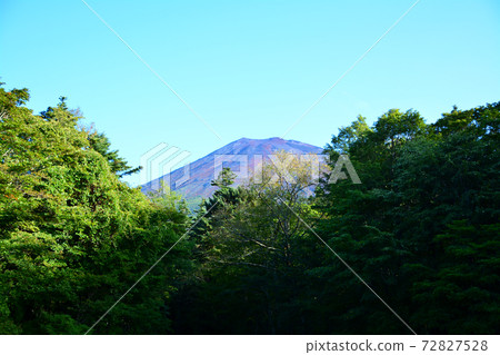 Object of worship and source of art-Mt. Fuji 72827528