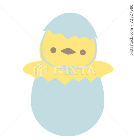 孵出的小雞 72827980