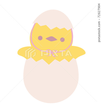 Hatched chick Hatched chick 72827984