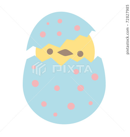 Hatching chick Hatching chick 72827985