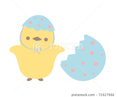 Chick illustration 72827988